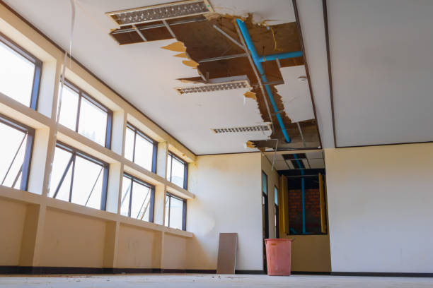  Granite City, IL Water damage restoration Pros