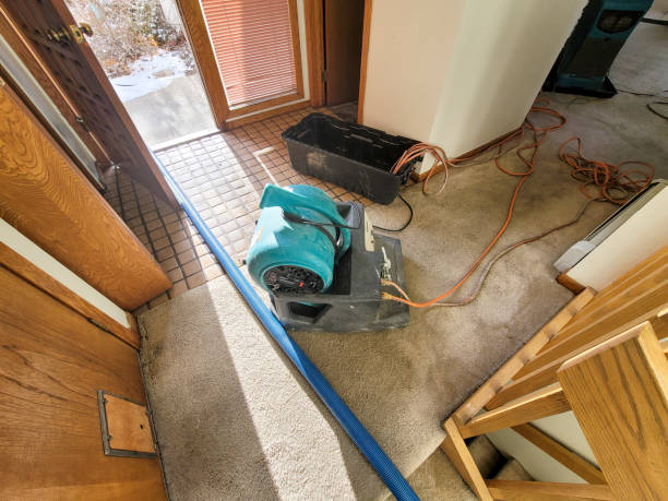 Reliable Granite City, IL Water damage restoration Solutions