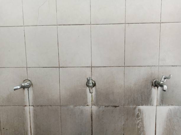 Best Sewage cleanup and water damage restoration  in Granite City, IL