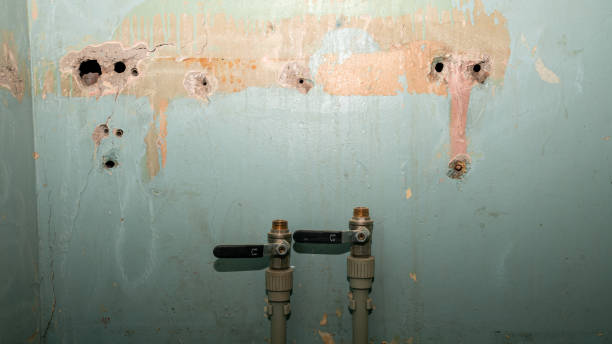 Best Sewage cleanup and water damage restoration  in Granite City, IL