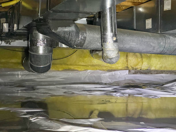 Best Fire Damage Restoration  in Granite City, IL