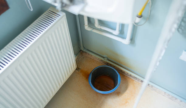 Best Water damage restoration near me  in Granite City, IL